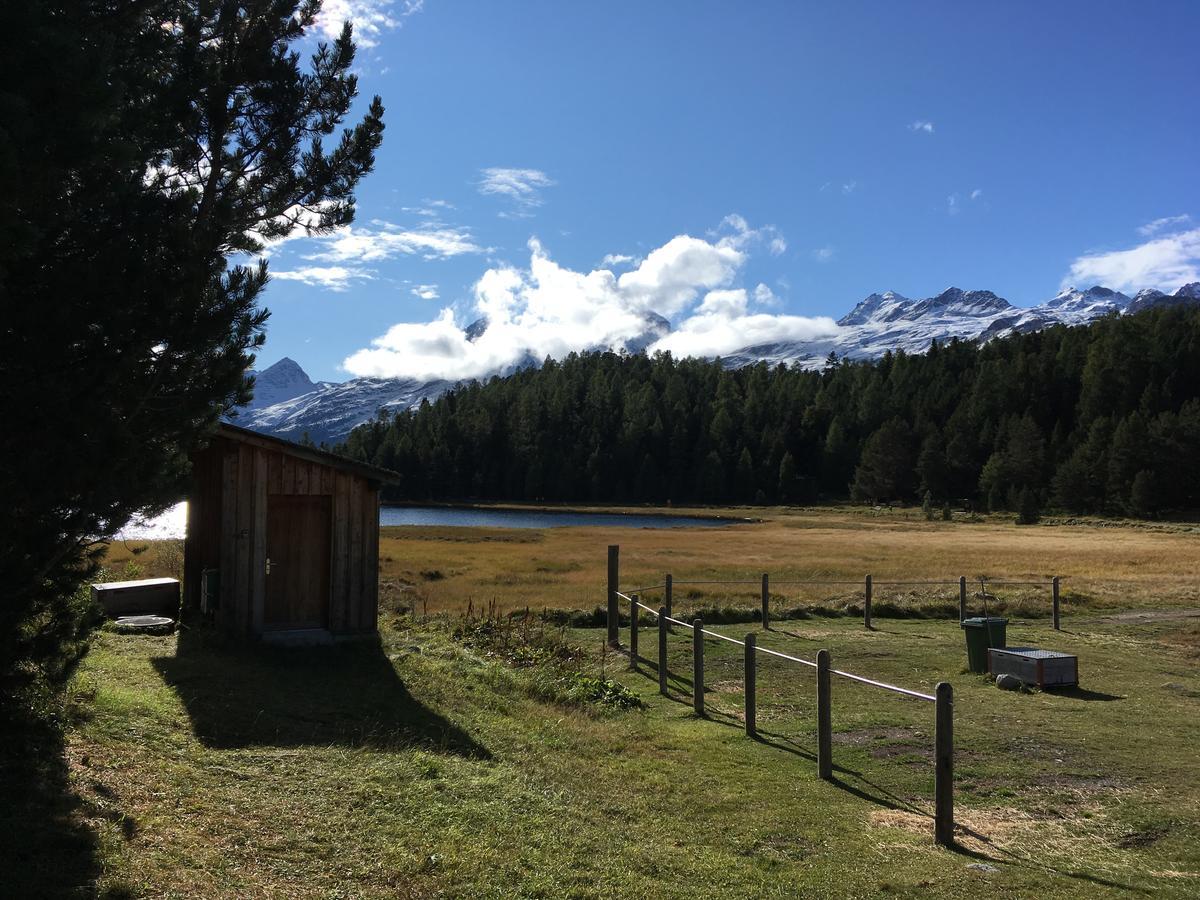 Hotelino Petit Chalet Celerina/Schlarigna Bagian luar foto